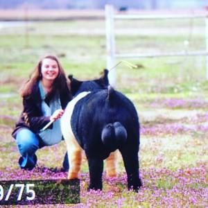 Meet your Posher, Gracie